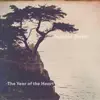 Sunset Swim - The Year of the Heart